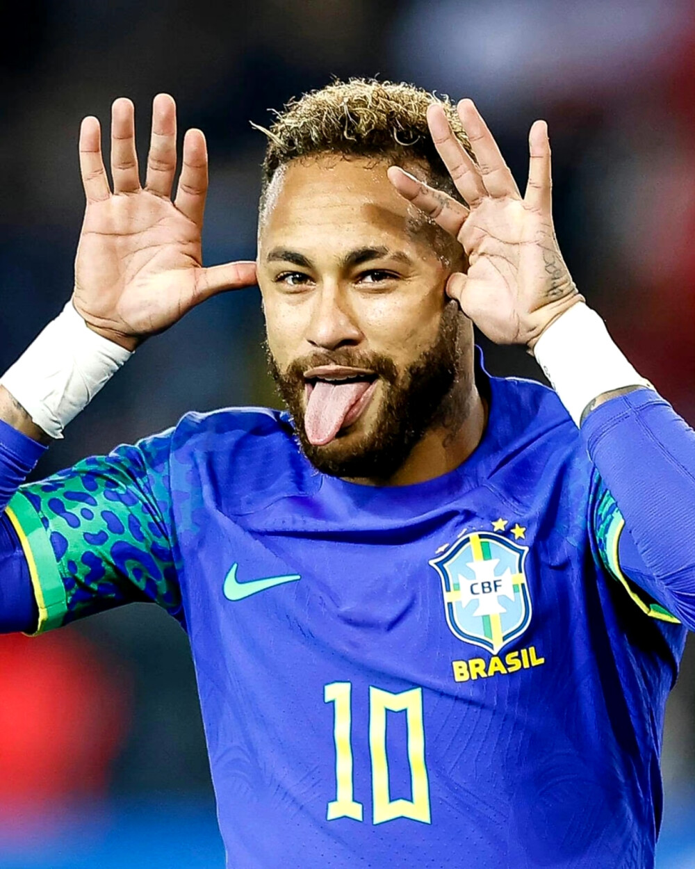 也有志在提 也有志在提